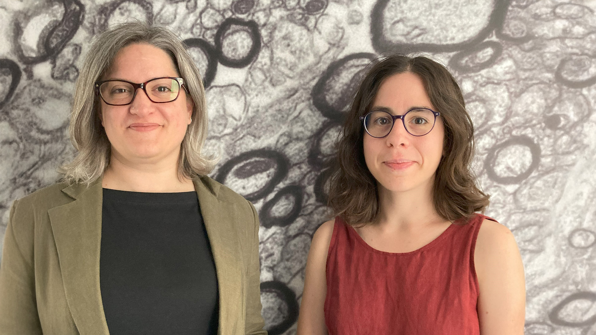 Lida Zoupi and Laura Oliviera with myelin Lida Zoupi and Laura Oliviera with myelin