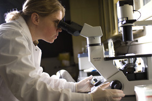 FMR Expression in Zebra Finch Stephanie Ceman, PhD, at University of Illinois at Urbana-Champaign, FRAXA research grant