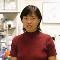 Xinyu Zhao, PhD Xinyu Zhao, PhD