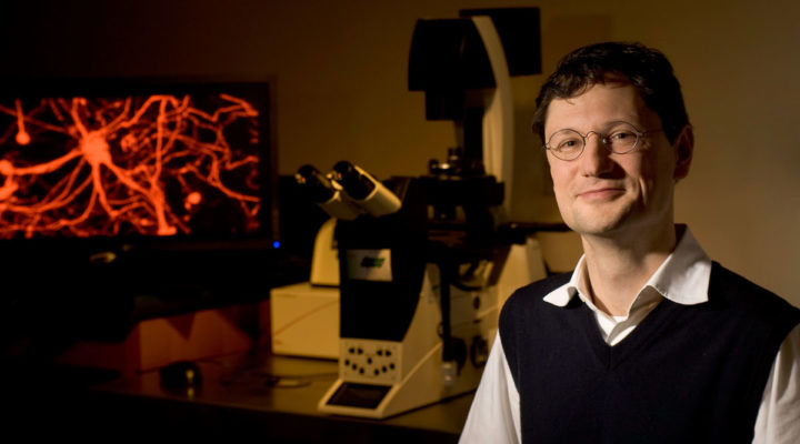 Synaptic Characterization of Human Fragile X Neurons Synaptic Characterization of Human Fragile X Neurons