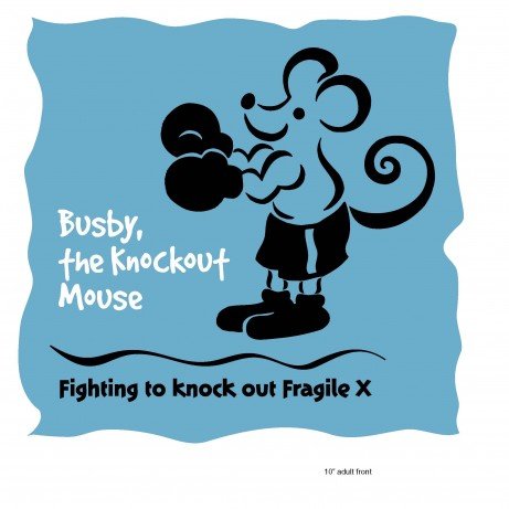 Fragile X knockout mouse