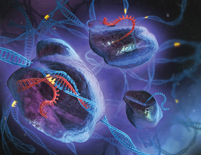 CRISPR