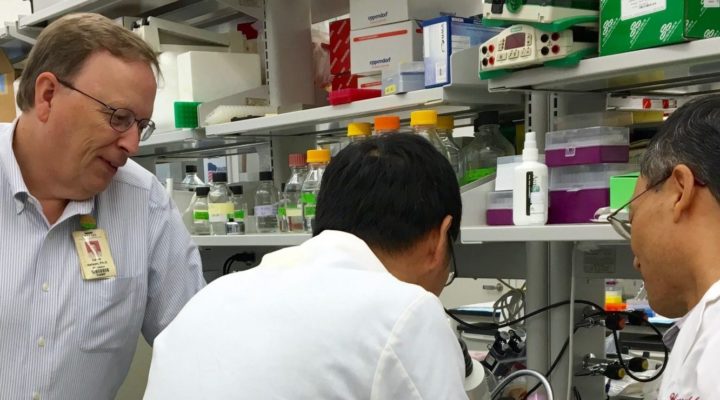 Researcher David Nelson, PhD, Explores New Cell Strategies for Fragile X Syndrome, FXTAS and FXPOI Researcher David Nelson, PhD, Explores New Cell Strategies for Fragile X Syndrome, FXTAS and FXPOI