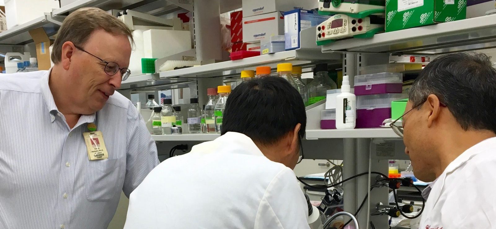 David Nelson lab