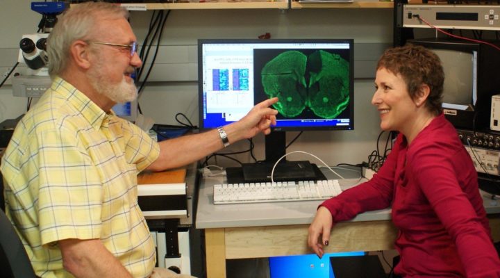 Prefrontal Cortex Network (PFC) Dynamics in Fragile X Syndrome Prefrontal Cortex Network (PFC) Dynamics in Fragile X Syndrome