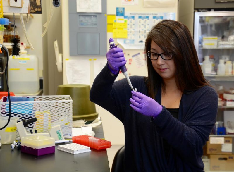 Christina Timmerman - Meffert lab