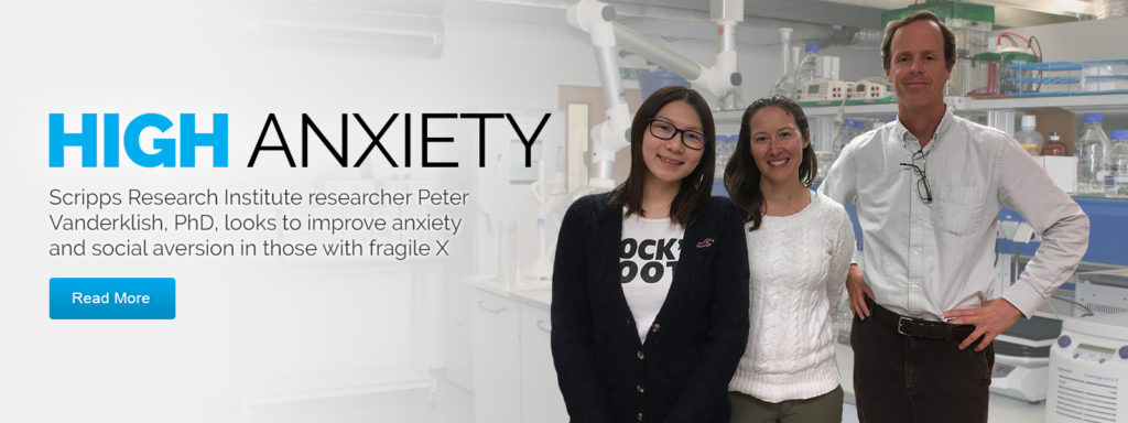 Fragile X researchers tackle Anxiety