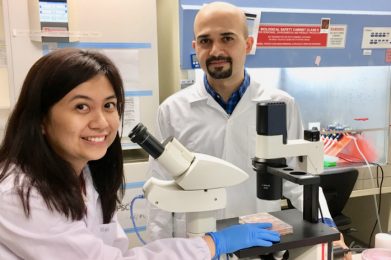 Mahmoud A. Pouladi, PhD & Kagistia Utami, PhD of National University of Singapore and Agency for Science, Technology and Research (A*STAR)