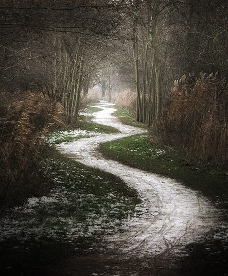 path path