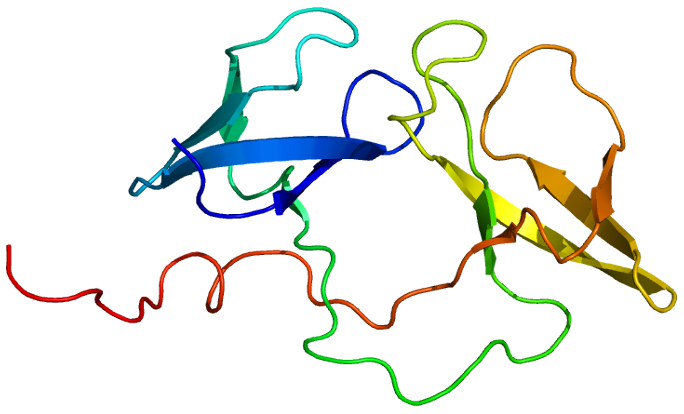 FMRP(1–297)-tat restores ion channel and synaptic function in a