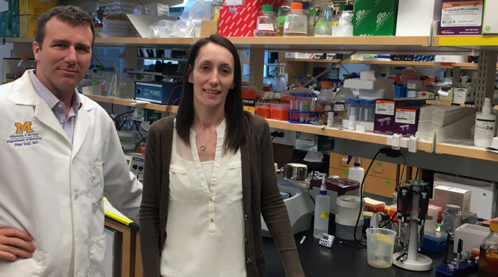 CRISPR Reactivation of the Fragile X Gene CRISPR Reactivation of the Fragile X Gene