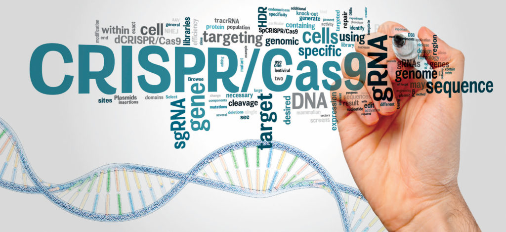 Fragile X CRISPR-Cas9