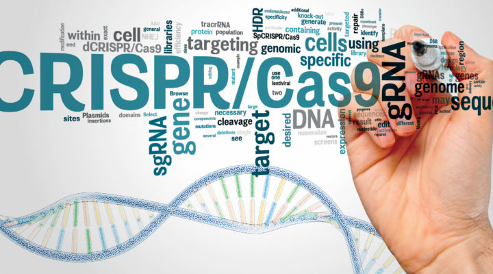 Can CRISPR Cure Fragile X Syndrome? Can CRISPR Cure Fragile X Syndrome?