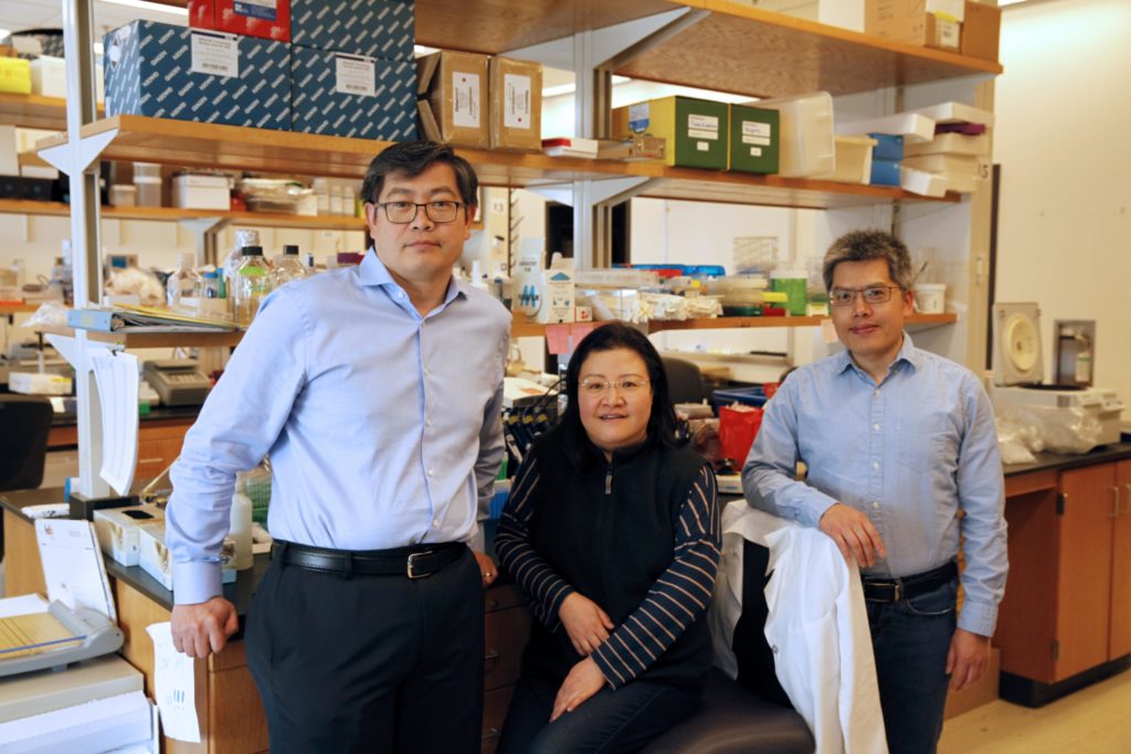 Peng Jin Team at Emory University Peng Jin Team at Emory University