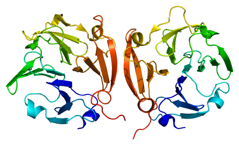MMP9 Structure of the MMP9 protein