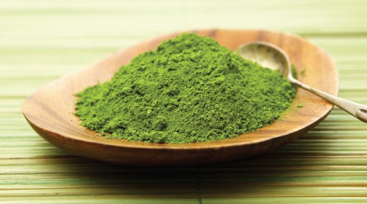 Mega Green Tea Extract to Treat Fragile X? Mega Green Tea Extract to Treat Fragile X?