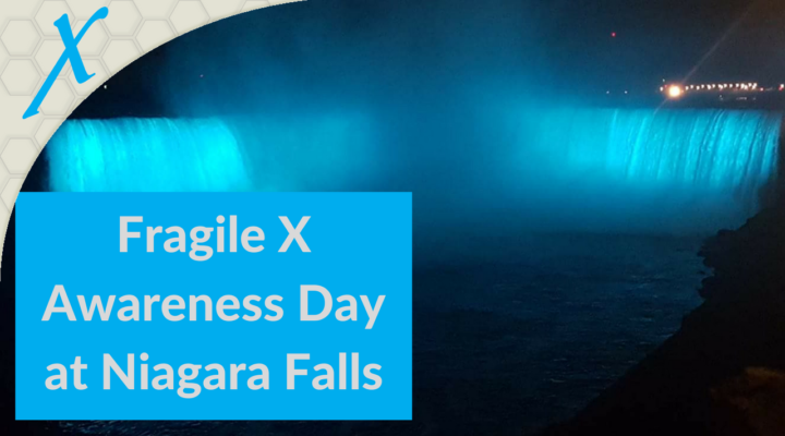 Niagara Falls went Teal for Fragile X Awareness Niagara Falls went Teal for Fragile X Awareness