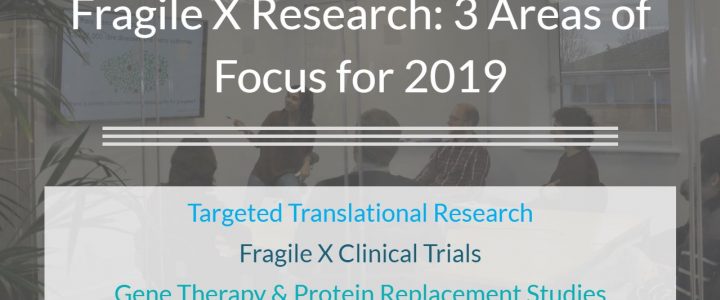 Fragile X Research: 3 Areas of Focus