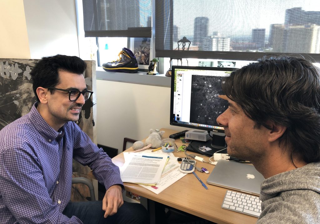 Nazim Kourdougli and Carlos Portera-Cailleau