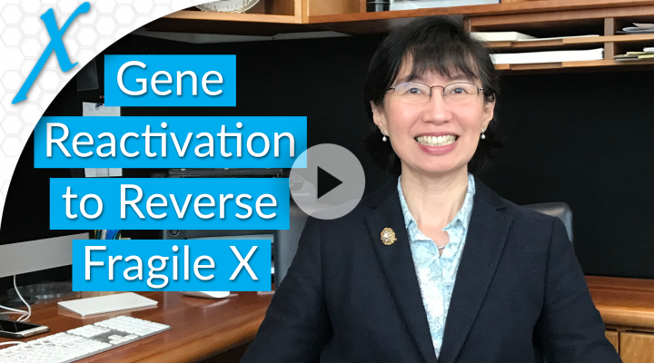 Reactivating the FMR1 Gene to Reverse Fragile X Syndrome Reactivating the FMR1 Gene to Reverse Fragile X Syndrome