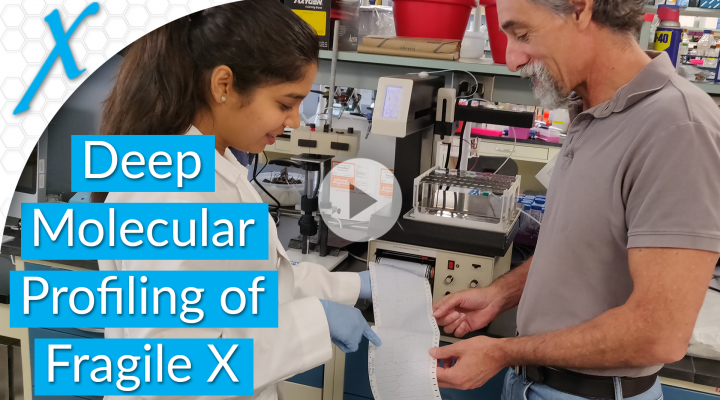 Deep Molecular Profiling of Fragile X Mouse and Human Cells Deep Molecular Profiling of Fragile X Mouse and Human Cells
