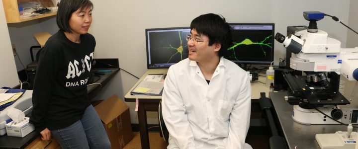 How Close are We to a Cure for Fragile X?