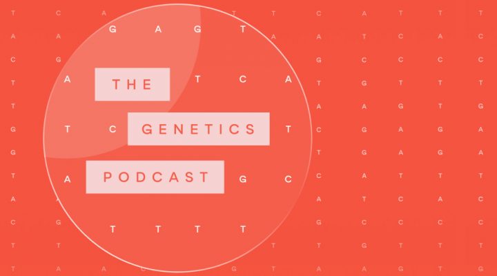 Drug Repurposing for Rare Disease and the Future of Health – The Genetics Podcast Drug Repurposing for Rare Disease and the Future of Health – The Genetics Podcast