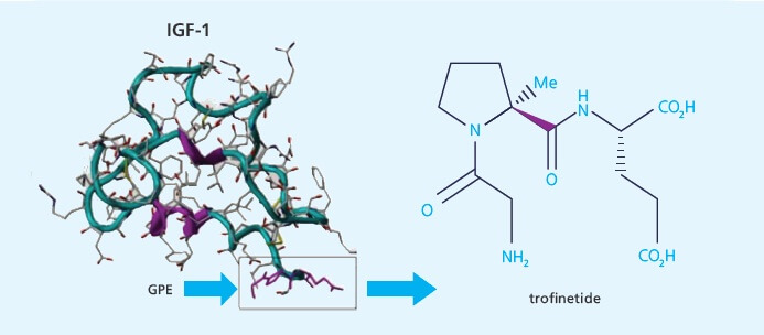 trofinetide trofinetide