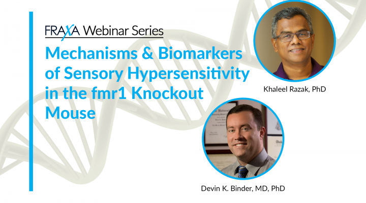 Mechanisms and Biomarkers of Sensory Hypersensitivity in the fmr1 Knockout Mouse Mechanisms and Biomarkers of Sensory Hypersensitivity in the fmr1 Knockout Mouse