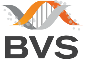 BVS Logo