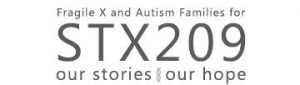 stx209-stories-logo