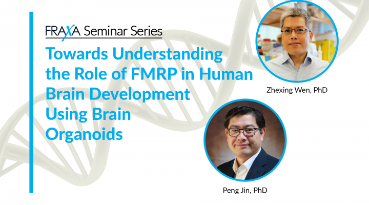 Towards Understanding the Role of FMRP in Human Brain Development Using Brain Organoids Towards Understanding the Role of FMRP in Human Brain Development Using Brain Organoids