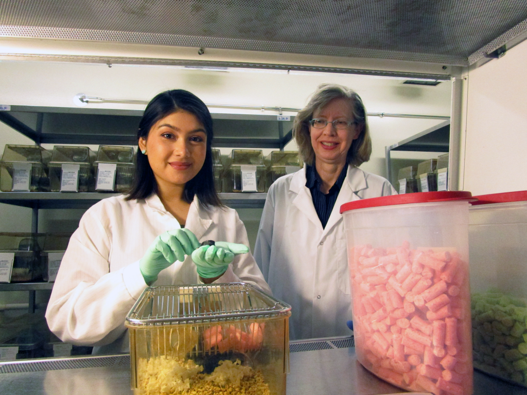 Cara Westmark PhD & Alejandra Gutierrez