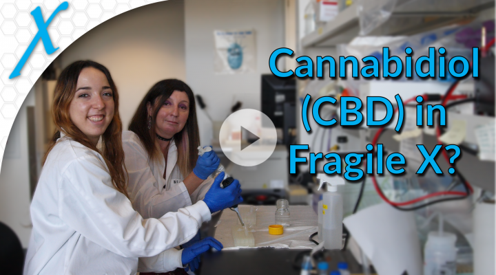 Pharmacotherapeutic Effects of Cannabidiol (CBD) in Fragile X syndrome (FXS) and Autism Spectrum disorder (ASD) Pharmacotherapeutic Effects of Cannabidiol (CBD) in Fragile X syndrome (FXS) and Autism Spectrum disorder (ASD)