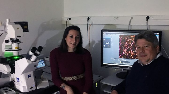 Exploring Drug Repurposing to Restore Hippocampal Function in FXS Mouse Models Exploring Drug Repurposing to Restore Hippocampal Function in FXS Mouse Models