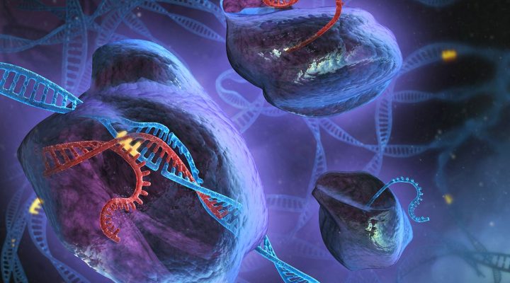 Reactivating the Fragile X Gene in Young Mice Reverses Symptoms Reactivating the Fragile X Gene in Young Mice Reverses Symptoms