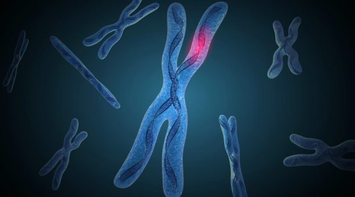 FMR1 Renamed to Fragile X Messenger Ribonucleoprotein 1 FMR1 Renamed to Fragile X Messenger Ribonucleoprotein 1