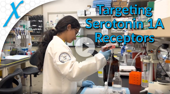 Targeting Serotonin 1A Receptors in Fmr1 Knockout Mice Targeting Serotonin 1A Receptors in Fmr1 Knockout Mice