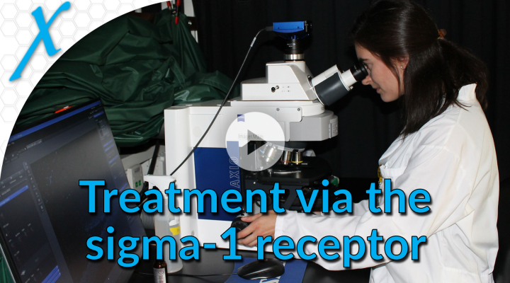 Sigma-1 Receptor as a Therapeutic Target for Fragile X Syndrome Sigma-1 Receptor as a Therapeutic Target for Fragile X Syndrome