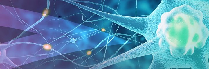 Zynerba Is Now Recruiting for Phase 3 Clinical Trial (RECONNECT) Of Zygel