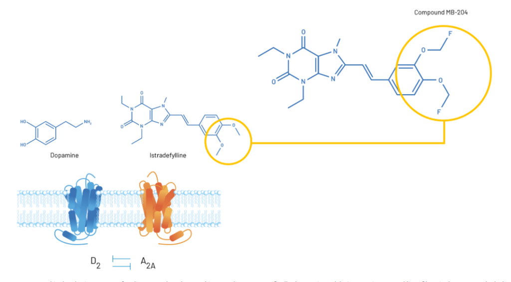 Chemical structures of dopamine, istradefylline, and MB-204 with dopamine D2 and adenosine A2A receptors shown below.