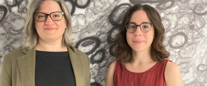 Oligodendrocytes: a Potential Route to Treat Fragile X Syndrome Lida Zoupi and Laura Oliviera with myelin