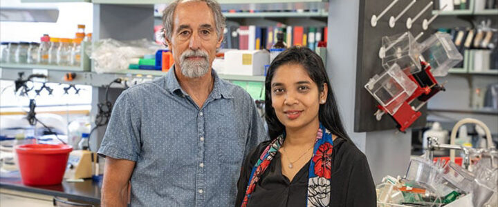 ASO Rescue of FMR1 Mis-Splicing in Neurons and Mitigation of Fragile X Deficits Dr. Joel Richter and Dr. Sneha Shah in their UMass Chan Medical School lab researching ASO therapy for Fragile X syndrome.