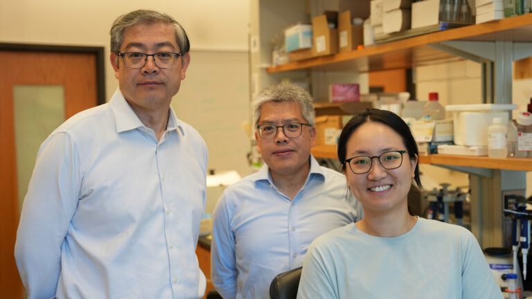 Drs. Peng Jin, Zhexing Wen, and Jie Xu