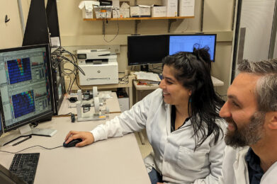 Researchers analyzing auditory system data to study therapeutic targets for Fragile X syndrome.