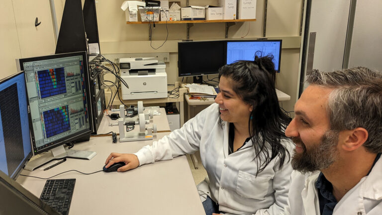 Researchers analyzing auditory system data to study therapeutic targets for Fragile X syndrome.