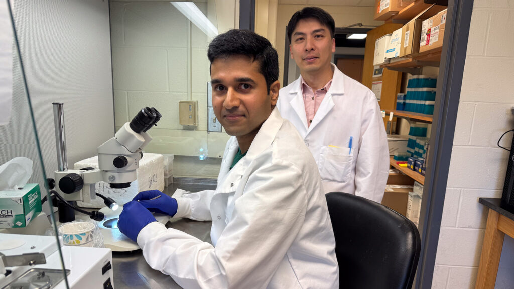 Dr. Anirudh Acharya and Dr. Nien-Pei Tsai study mitochondrial function in a Fragile X syndrome research laboratory.