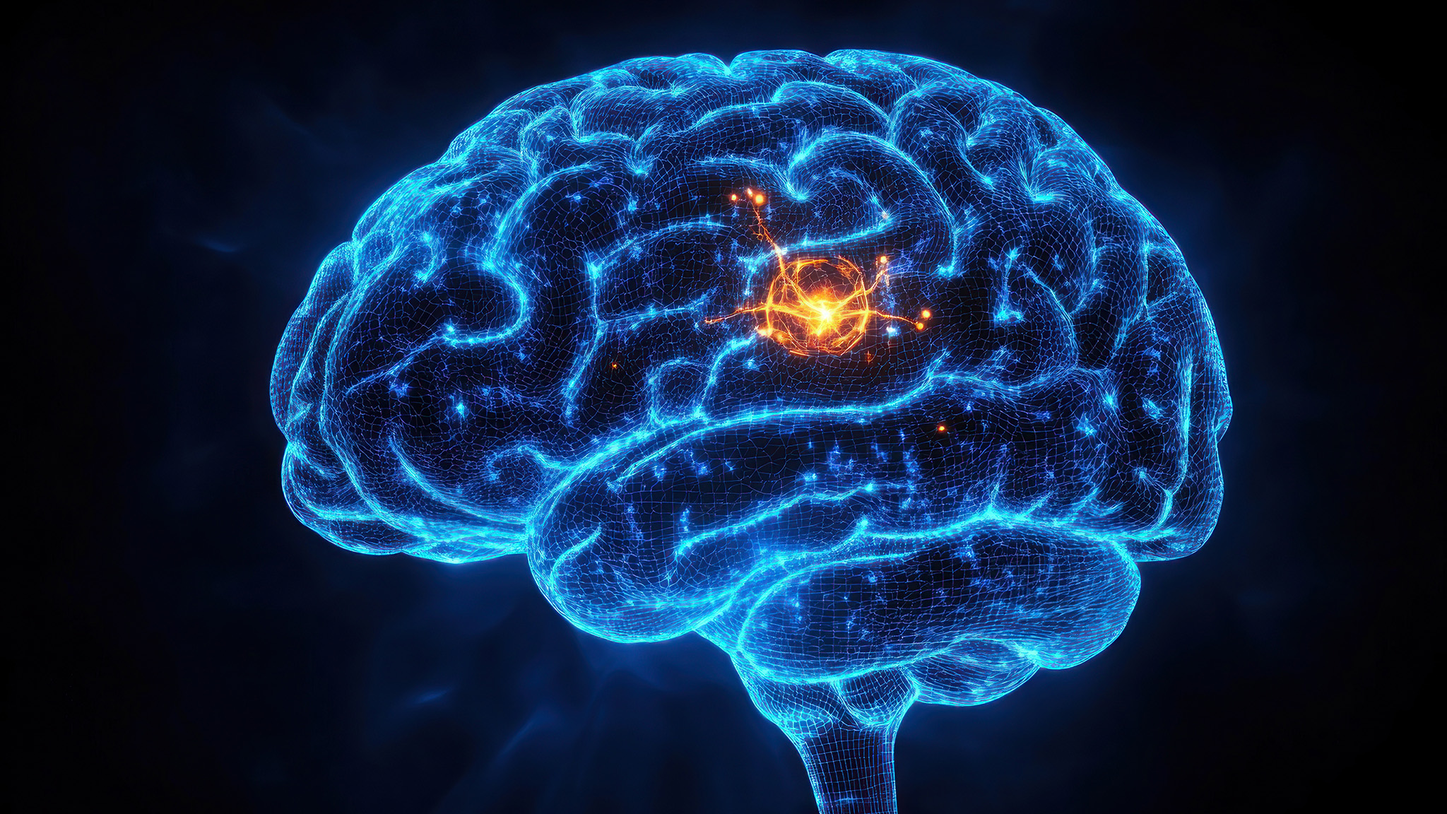 Stylized blue brain with an orange highlighted region representing the nucleus accumbens in Fragile X syndrome research