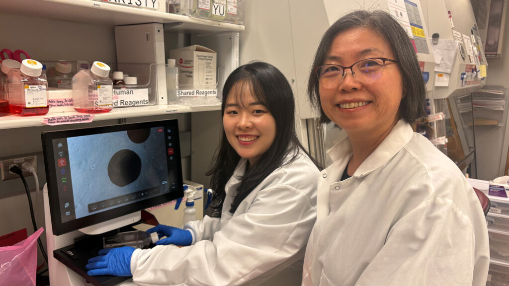 Jiyoun Lee and Xinyu Zhao in a laboratory studying Fragile X syndrome using human neurons and brain organoids