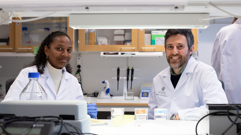 Francesco Longo and Charlène Perian working in a laboratory at Gothenburg University